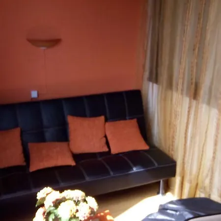 Apartment Sunny Flat In Machico (Madeira)