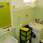 Sunny Flat In * Machico (Madeira)